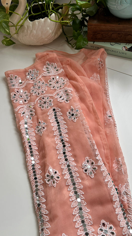 Peach - Georgette Mirror Kurta