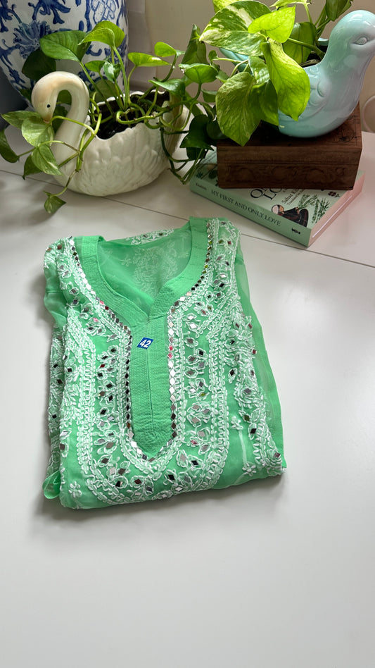 Peppermint - Georgette Mirror Kurta