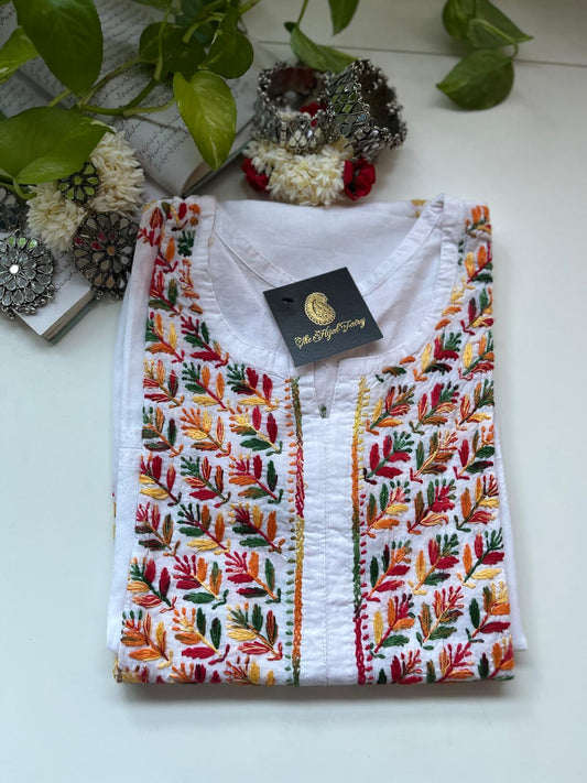 Multi on White - Cotton Kurta