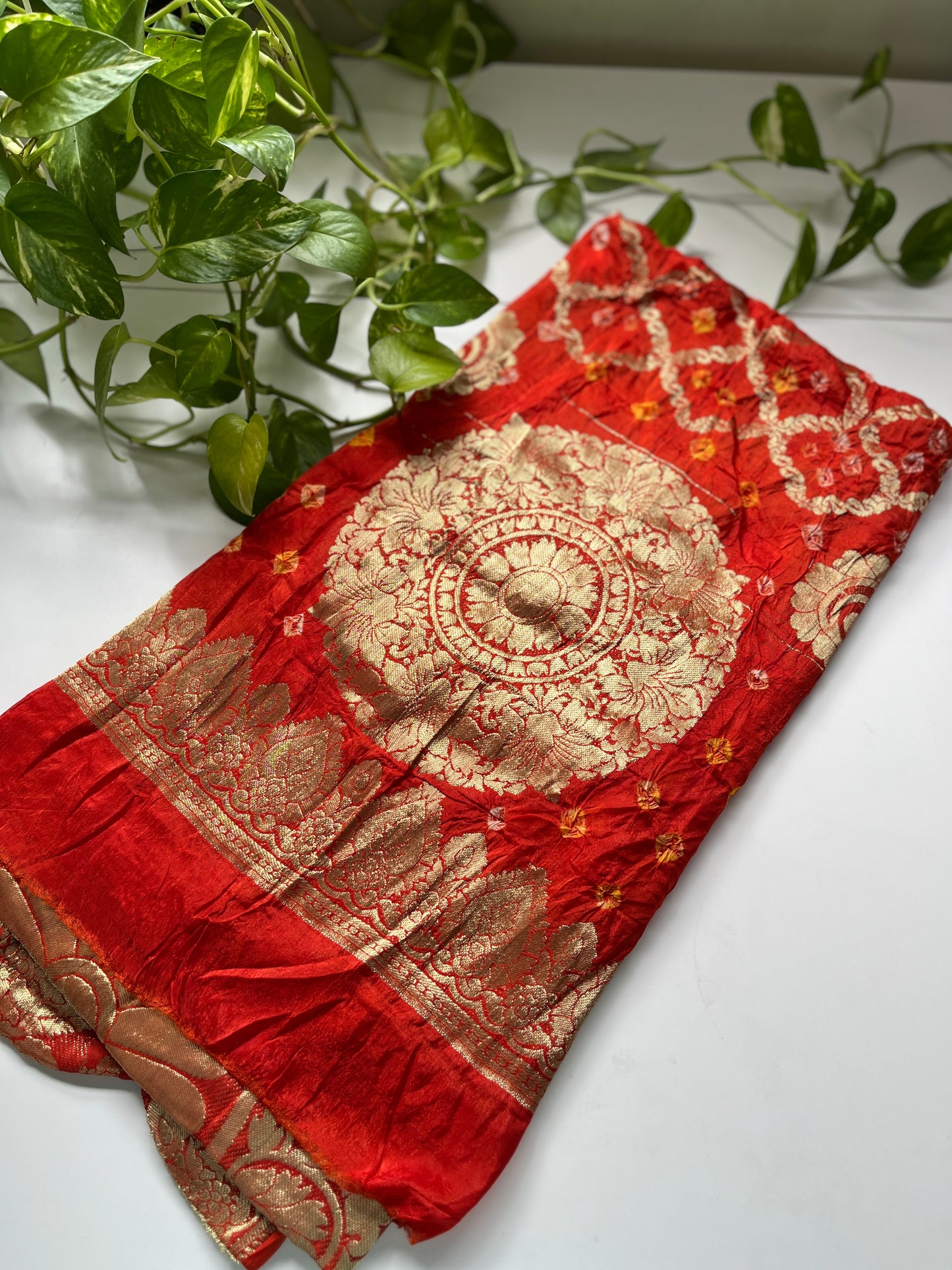 Gaji Silk Gharchola Dupatta