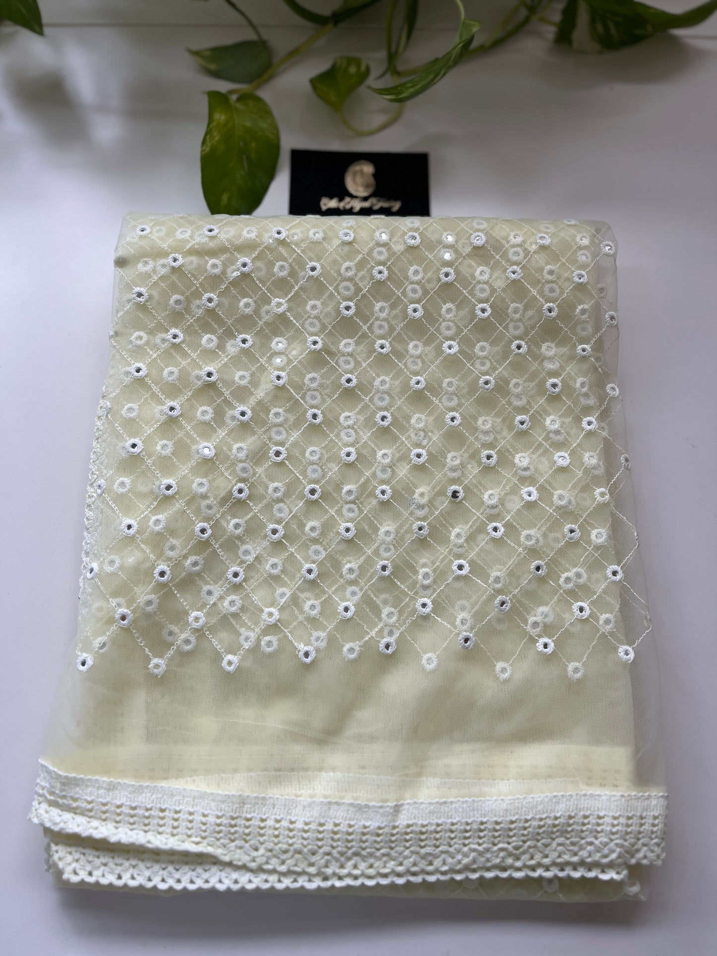 Net Dupatta 4