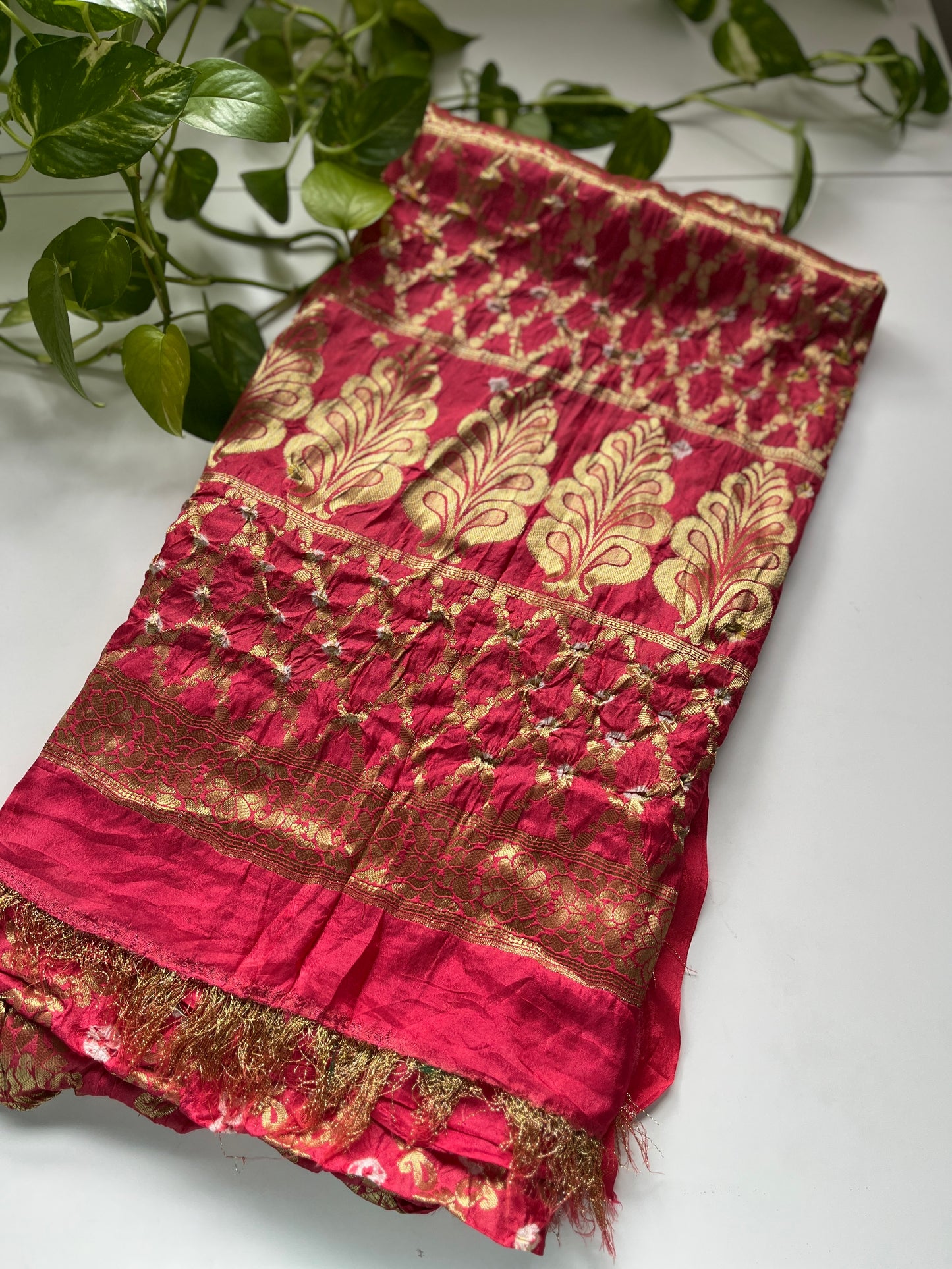 Gaji Soie Gharchola Dupatta